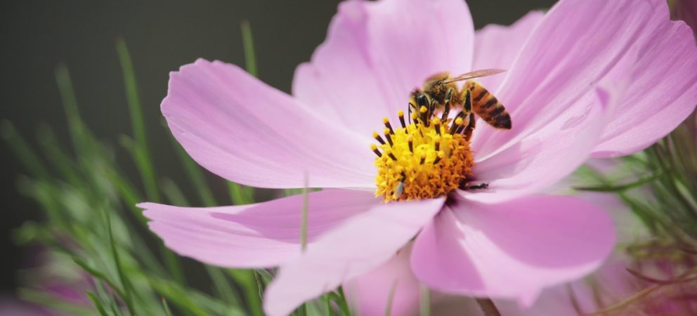 Sichere Verhütung ohne Pille, Spritze und Co. – geht das überhaupt?